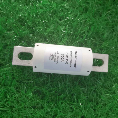 750VDC এনার্জি স্টোরেজ ডিসম্যান 300Amp ডিসি ফিউজ ফাইবার টিউব উপাদান