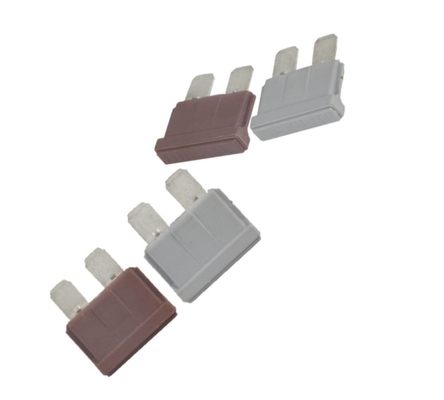 58V DC লো ভোল্টেজ ফিউজ 1 Amp রেটেড কারেন্ট: ফাস্ট ব্লো ROHs স্ট্যান্ডার্ড