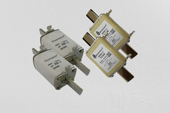 NT RT NH উচ্চ ফাটানোর ক্ষমতা ফিউজ 600VDC রেটেড ভোল্টেজ IEC60269
