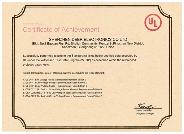 চীন Dissmann | Global Expert Fuse for EV | HEV | Photovoltaic | Battery | Energy Storage Solutions সার্টিফিকেশন